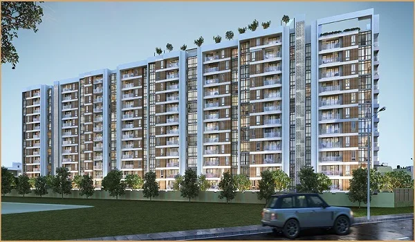 Featured Image of Sattva Pipal Tree